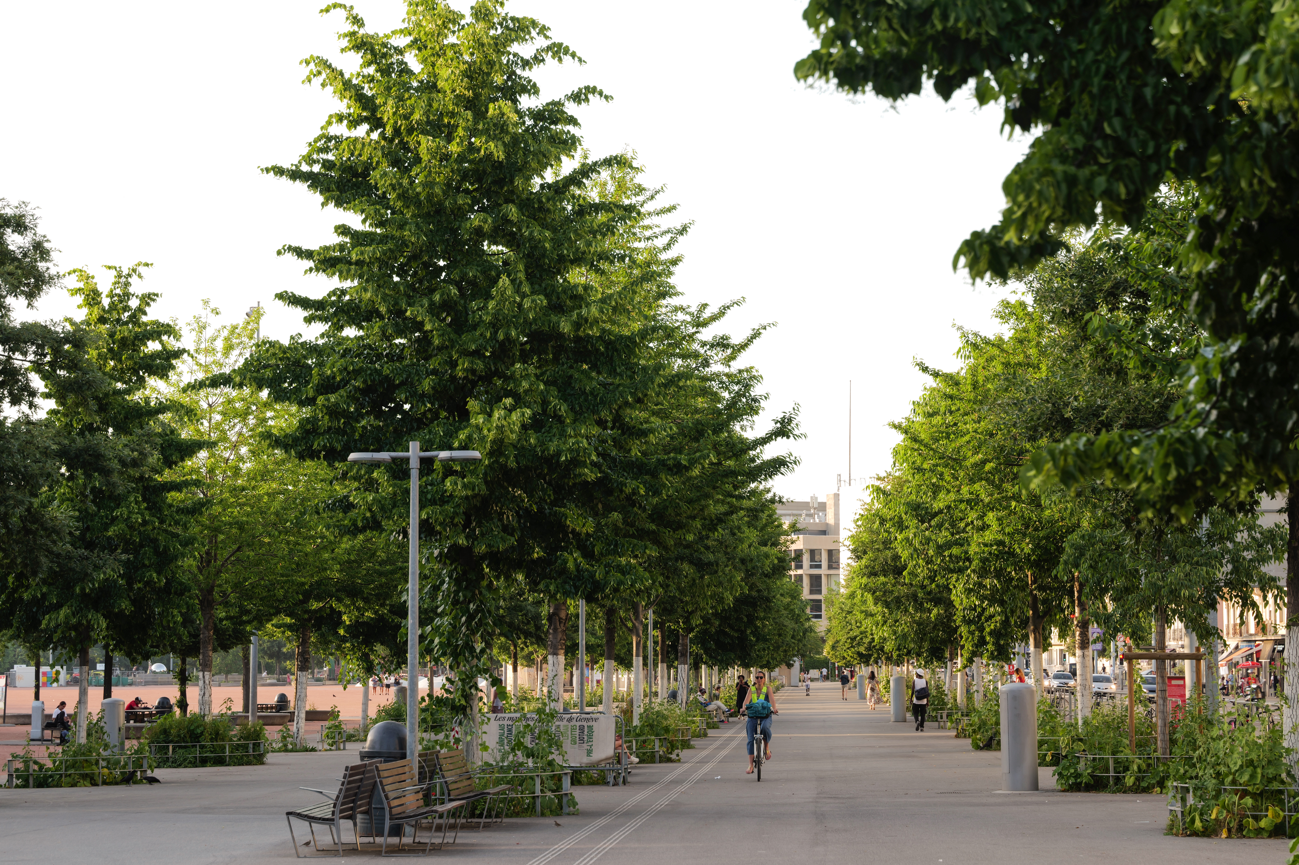 EGON_Bureaux_Genève_Plainpalais